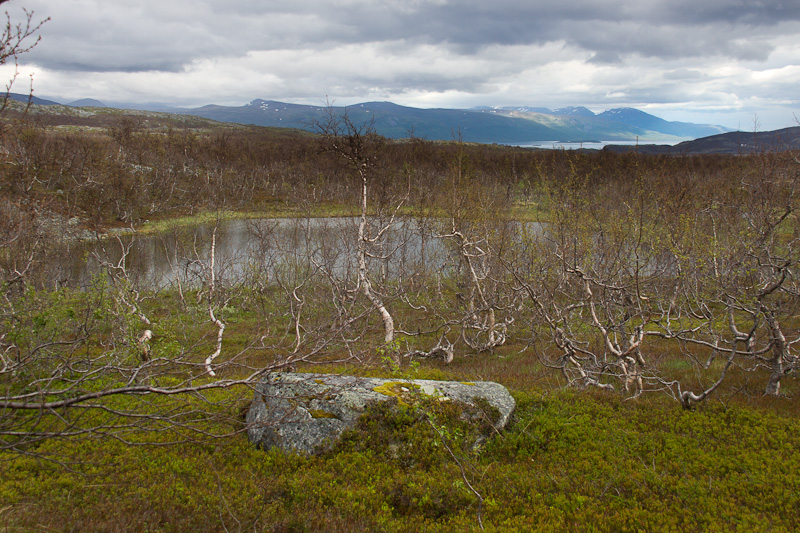 Vy från Kopparåsen.